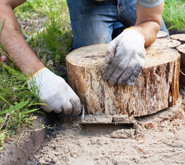 Design & Installation